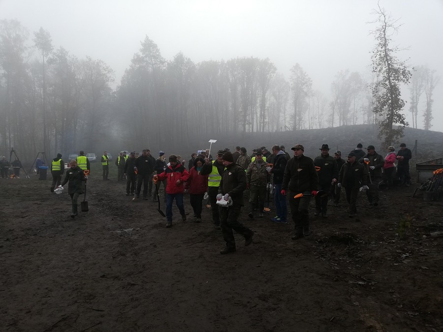 Sadzenie lasu - 15.11.2019 KPK