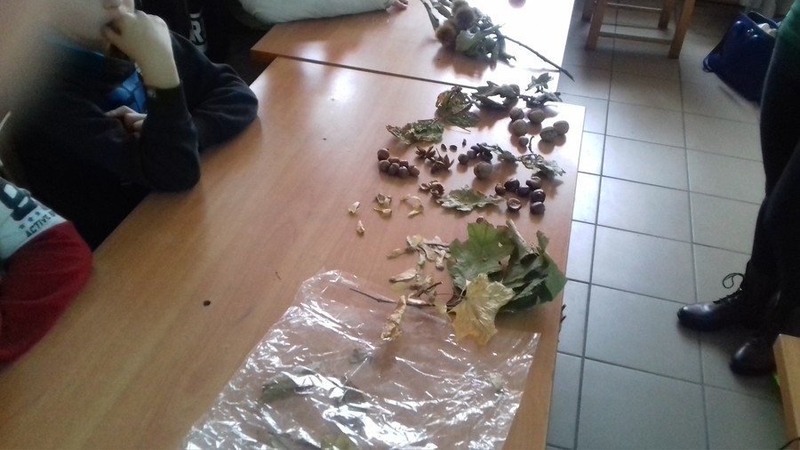 Zajęcia z edukatorem - 20.11.2019 KPK