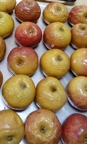 Święto jabłka - 21.11.2019 WPK