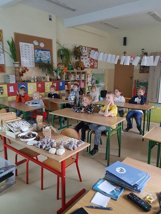 Młody tropiciel przyrody - 28.11.2019 BPK