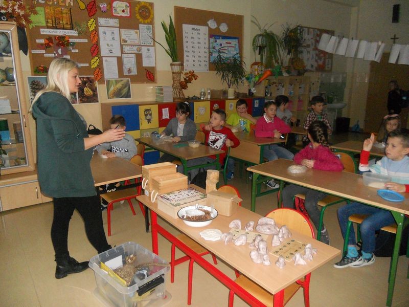 Młody tropiciel przyrody - 28.11.2019 BPK