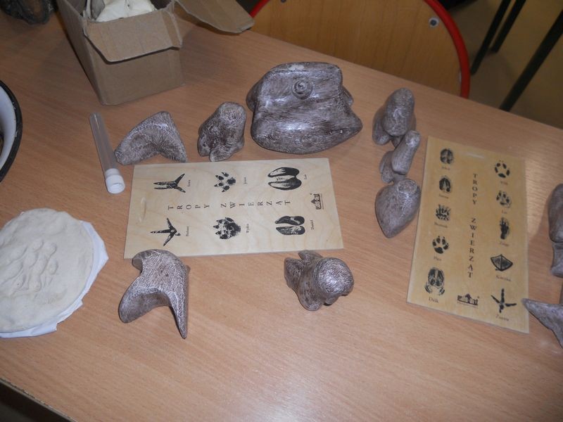 Młody tropiciel przyrody - 28.11.2019 BPK