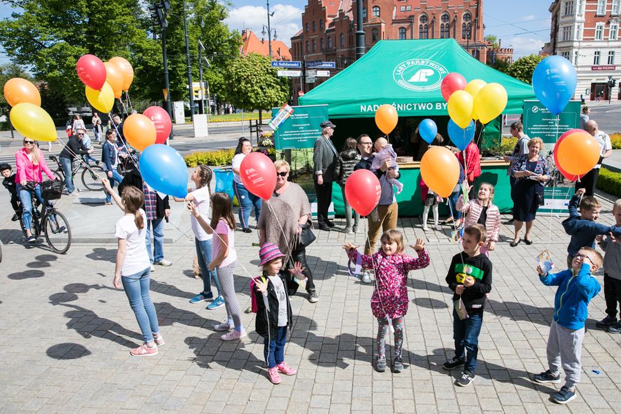 Toruński festyn Dni Otwartych Funduszy Europejskich, fot. Andrzej Goiński