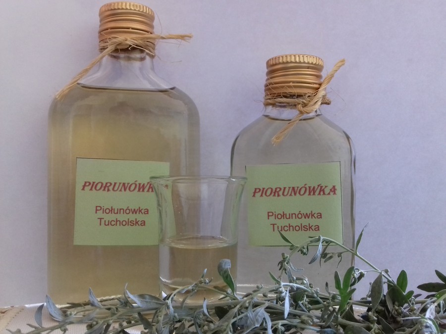 Piołunówka tucholska, fot. Marzena Przytarska