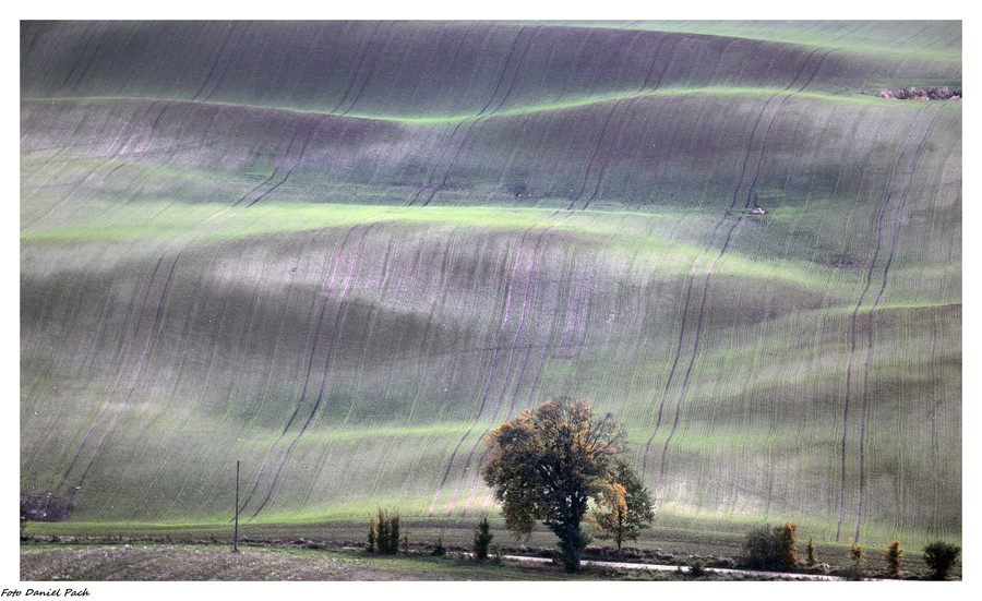Górzysty teren Krajeńskiego Parku Krajobrazowego, fot. Daniel Pach