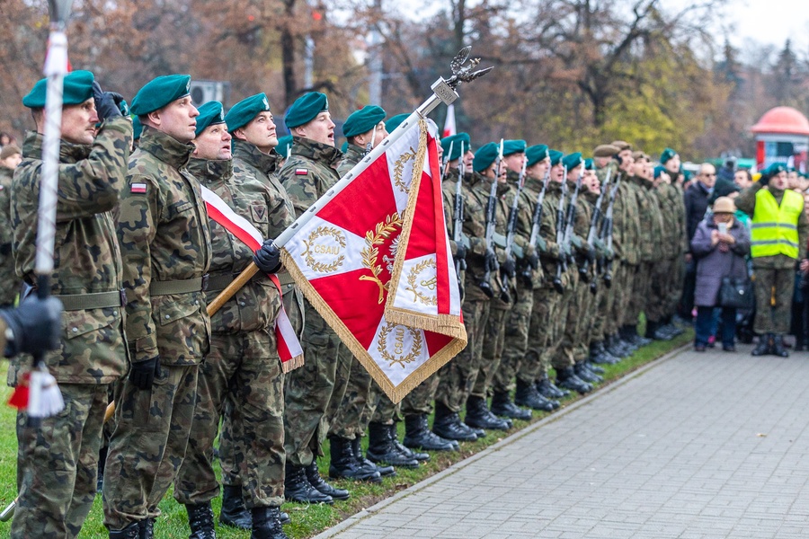 Toruńskie uroczystości 101. rocznicy odzyskania przez Polskę niepodległości, fot. Szymon Zdziebło/tarantoga.pl