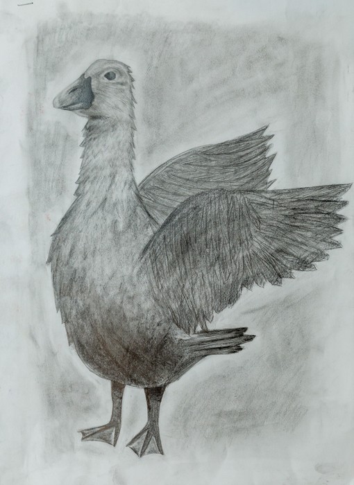 Amelia Blank, fot. Szymon Zdziebło/Tarantoga.pl