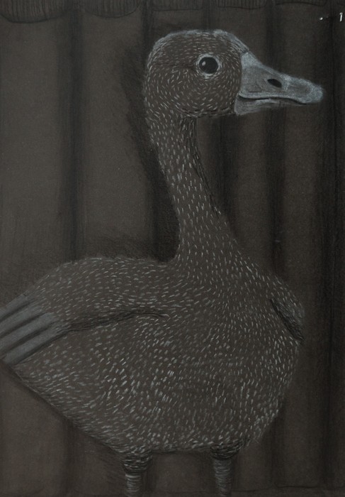 Beata Szymecka, fot. Szymon Zdziebło/Tarantoga.pl