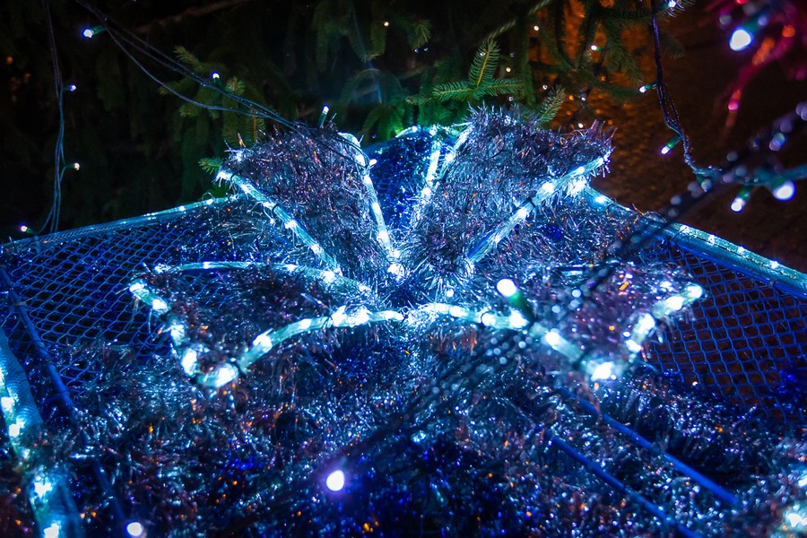 Golub-Dobrzyń, fot. Szymon Zdziebło www.tarantoga.pl