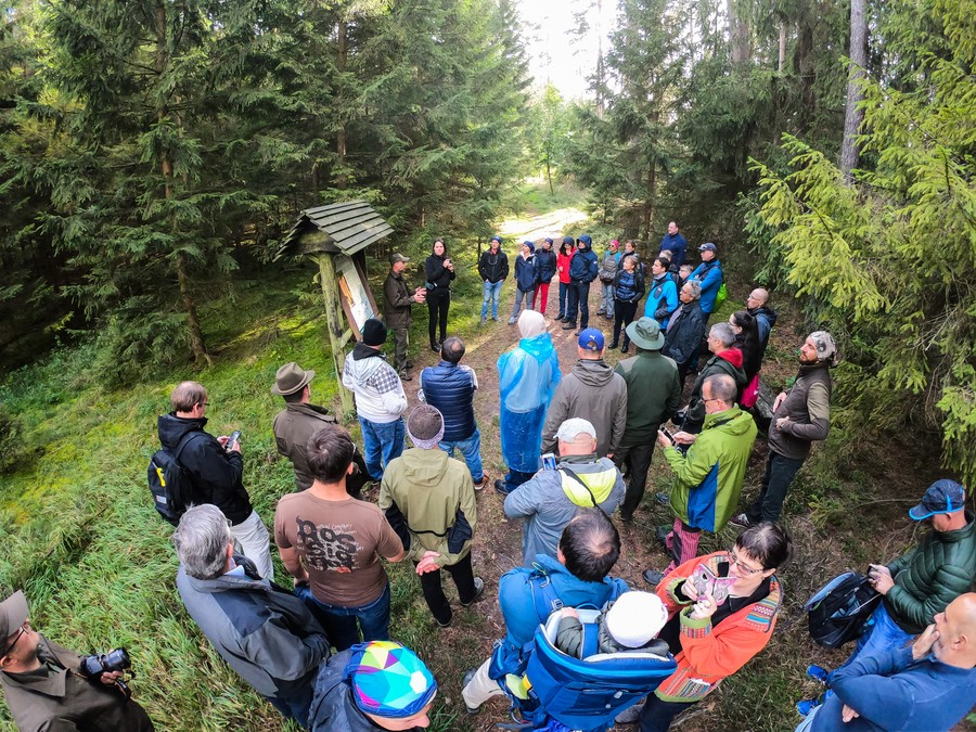 fot. Rafał Modrzewski
