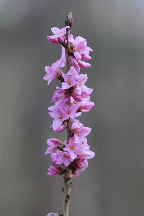 Wiosna w GLPK - 05.03.2020