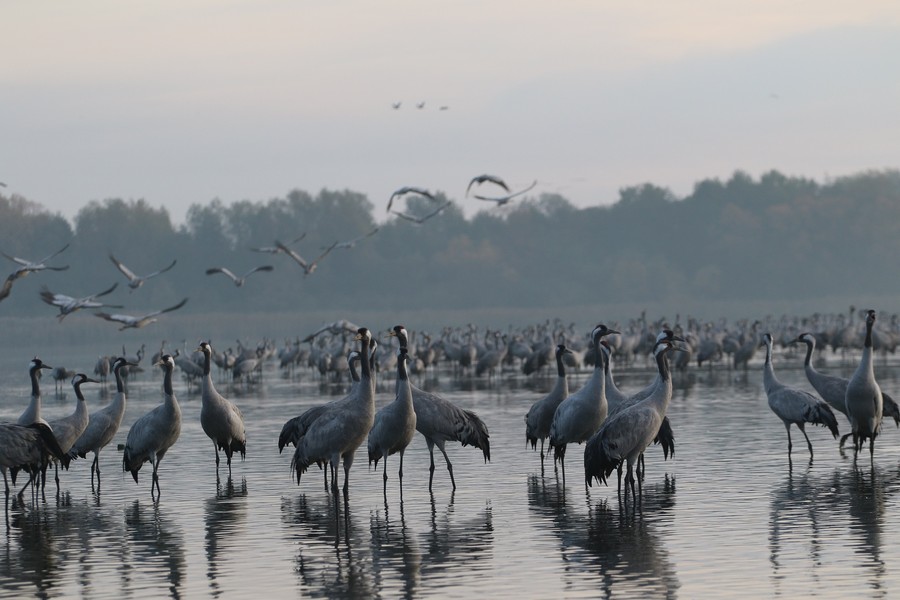 Nadgoplański Park Tysiąclecia 30.04.2020