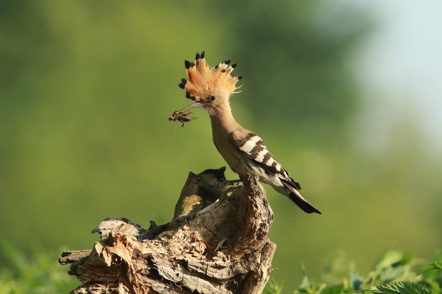 Nadgoplański Park Tysiąclecia 30.04.2020