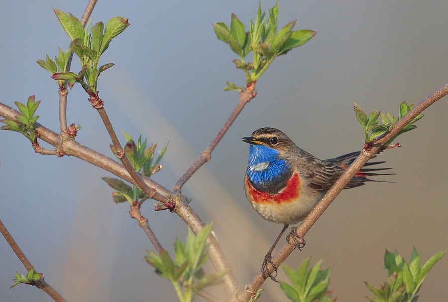 Nadgoplański Park Tysiąclecia 30.04.2020