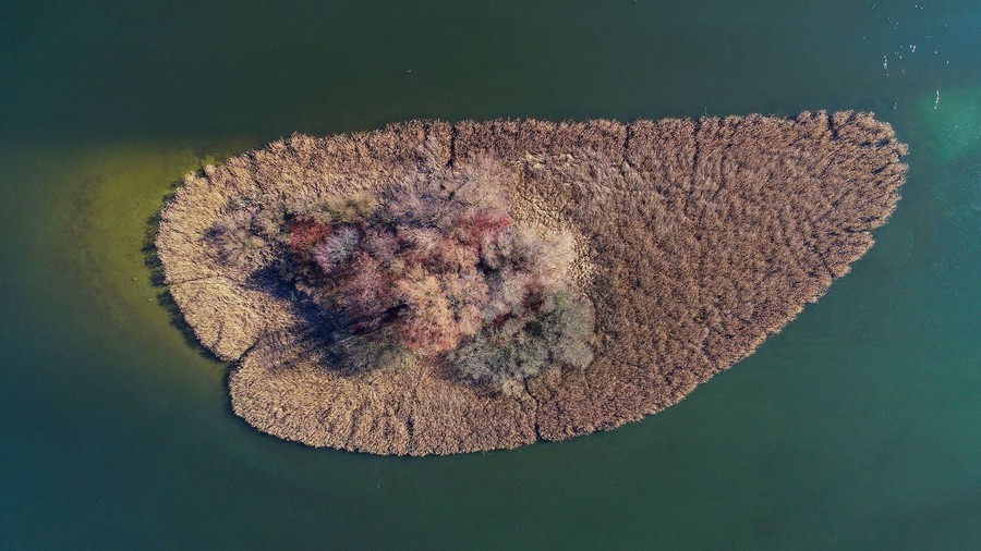 Nadgoplański Park Tysiąclecia 30.04.2020