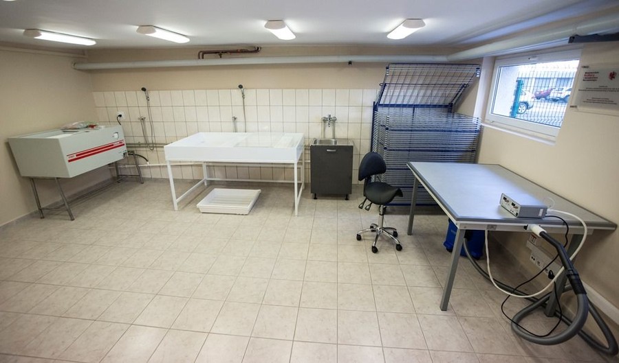 Pracownia konserwacji w Książnicy Kopernikańskiej, fot.Tomasz Dorawa