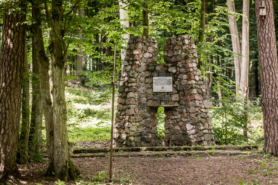 Rezerwat Szumny Zdrój na terenie Górznieńsko-Lidzbarskiego Parku Krajobrazowego, fot. Andrzej Goiński/UMWKP