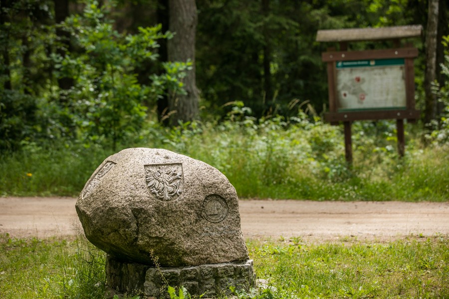 Głaz narzutowy na styku trzech województw: kujawsko-pomorskiego, warmińsko-mazurskiego i mazowieckiego, fot. Andrzej Goiński/UMWKP