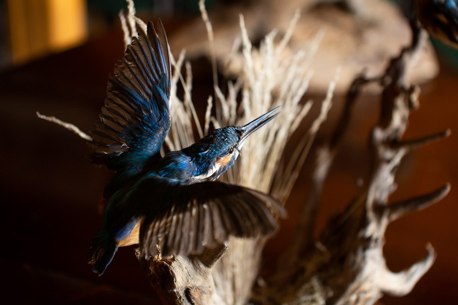 Fot. Filip Kowalkowski dla UMWKP