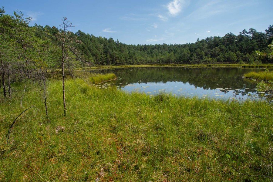 Fot. Filip Kowalkowski dla UMWKP