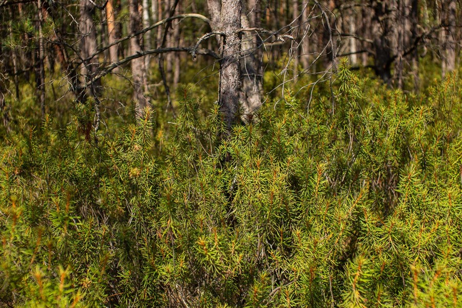 Fot. Filip Kowalkowski dla UMWKP