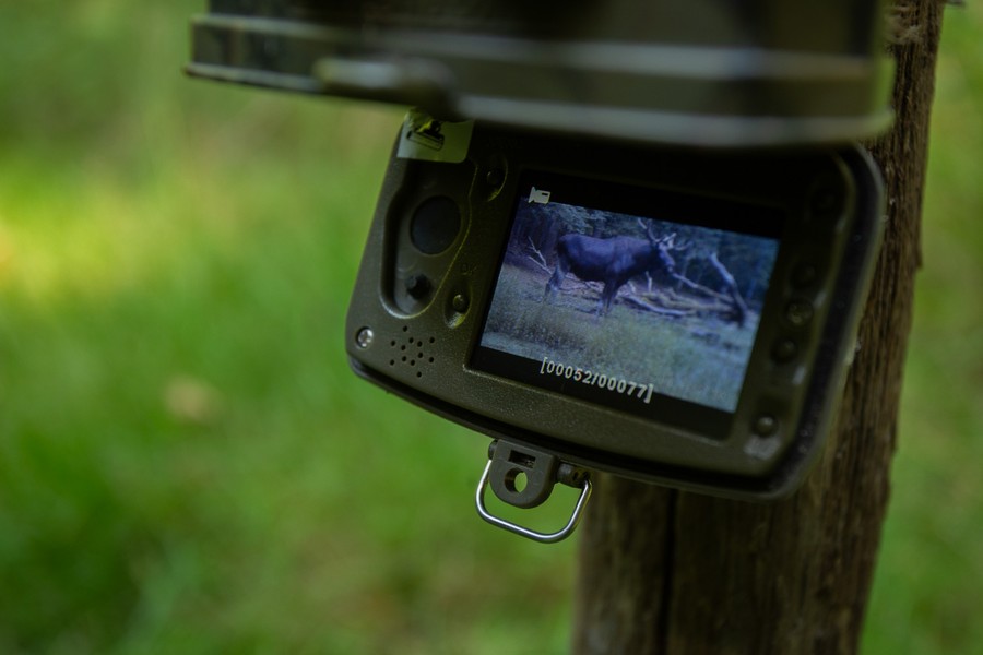 Fot. Filip Kowalkowski dla UMWKP