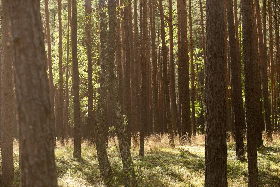 Fot. Filip Kowalkowski dla UMWKP