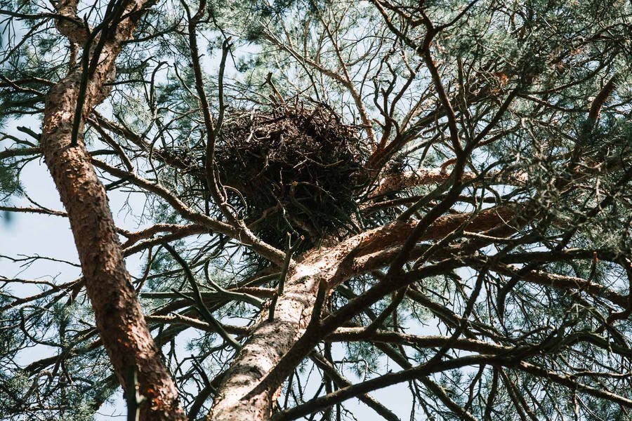 Fot. Filip Kowalkowski dla UMWKP