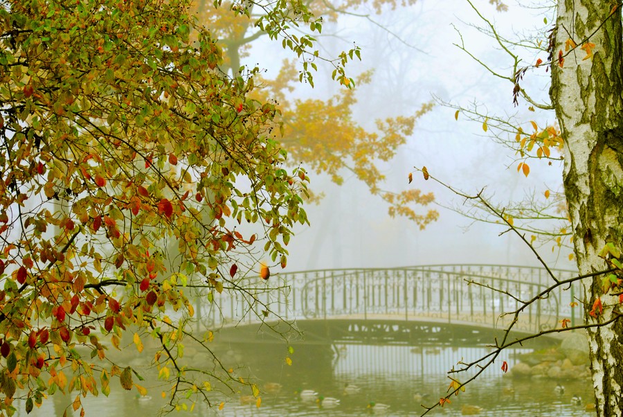 III miejsce w kategorii fotoreportaż - Justyna Małecka Park Zdrojowy w Ciechocinku - Cztery pory roku