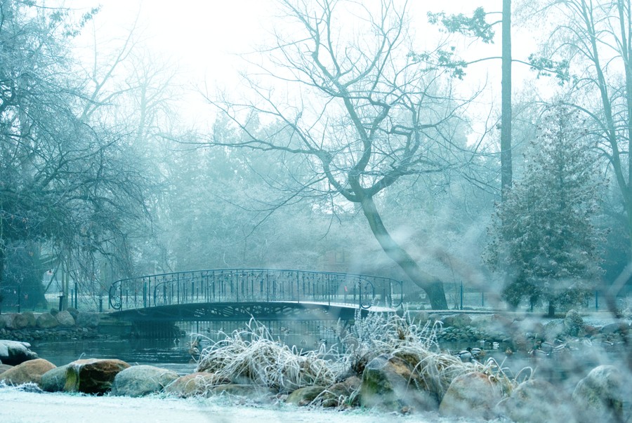 III miejsce w kategorii fotoreportaż - Justyna Małecka Park Zdrojowy w Ciechocinku - Cztery pory roku