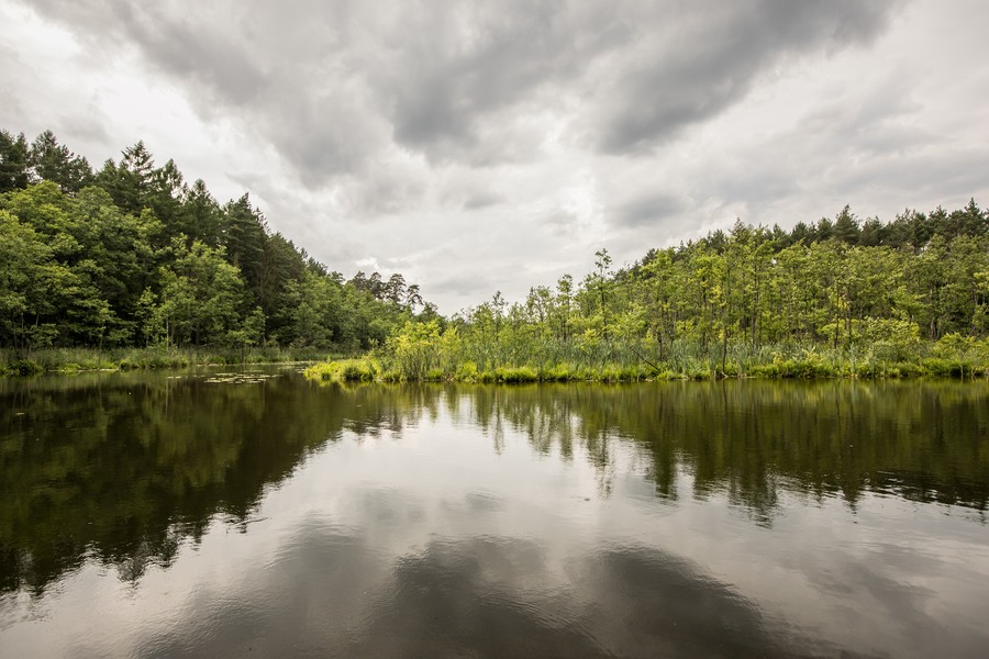 brodnicki park krajobrazowy fot.Andrzej Goinski