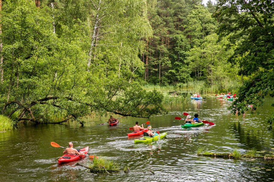 Brodnicki Park Krajobrazowy fot.Andrzej Goinski