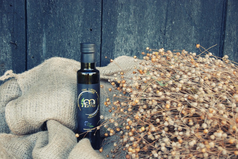 Fot. Regionalnym Ośrodek Edukacji Ekologicznej w Przysieku