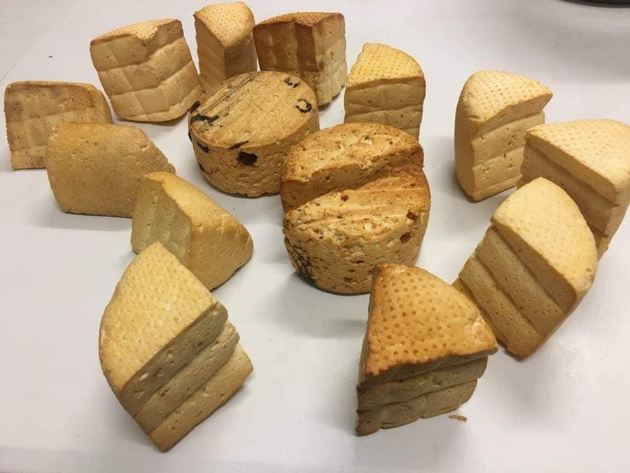 Fot. Regionalnym Ośrodek Edukacji Ekologicznej w Przysieku