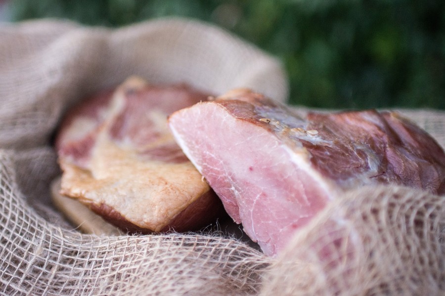 Fot. Regionalnym Ośrodek Edukacji Ekologicznej w Przysieku