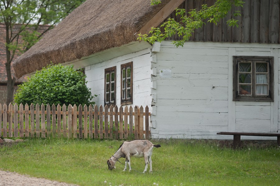 Kłóbka skansen, fot. Andrzej Goinski UMWKP