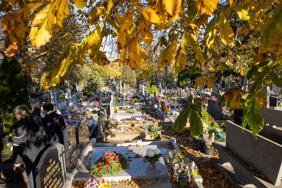 Kwesta na cmentarzu św. Jerzego w Toruniu, fot. Mikołaj Kuras dla UMWKP