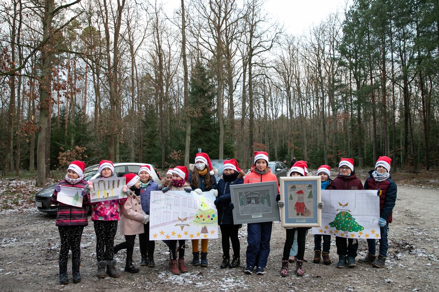 Wybieranie choinki w Raciniewie, fot. Andrzej Goiński UMWKP