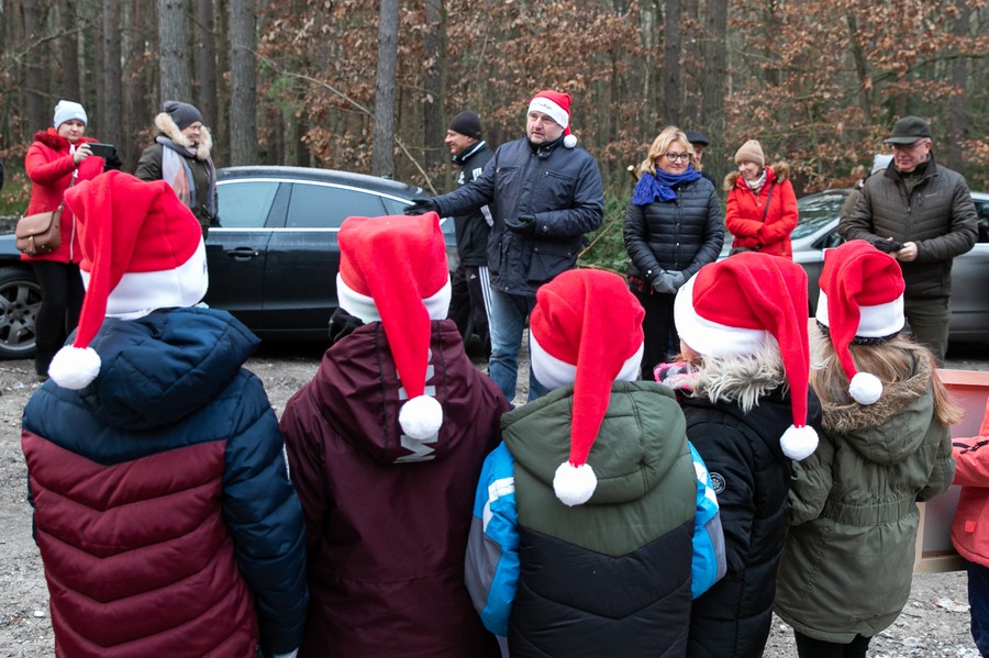 Wybieranie choinki w Raciniewie, fot. Andrzej Goiński UMWKP