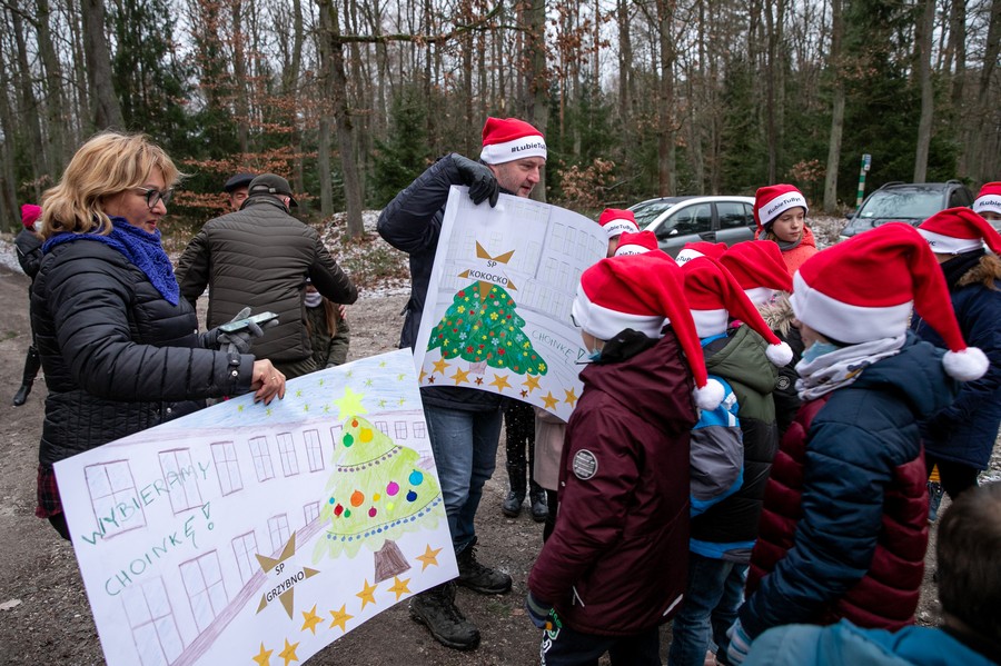 Wybieranie choinki w Raciniewie, fot. Andrzej Goiński UMWKP