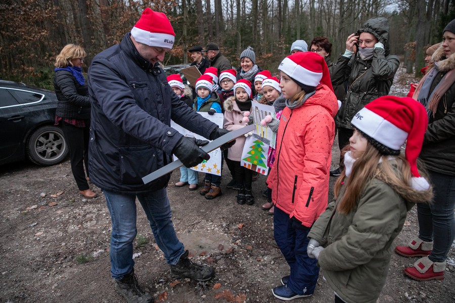 Wybieranie choinki w Raciniewie, fot. Andrzej Goiński UMWKP