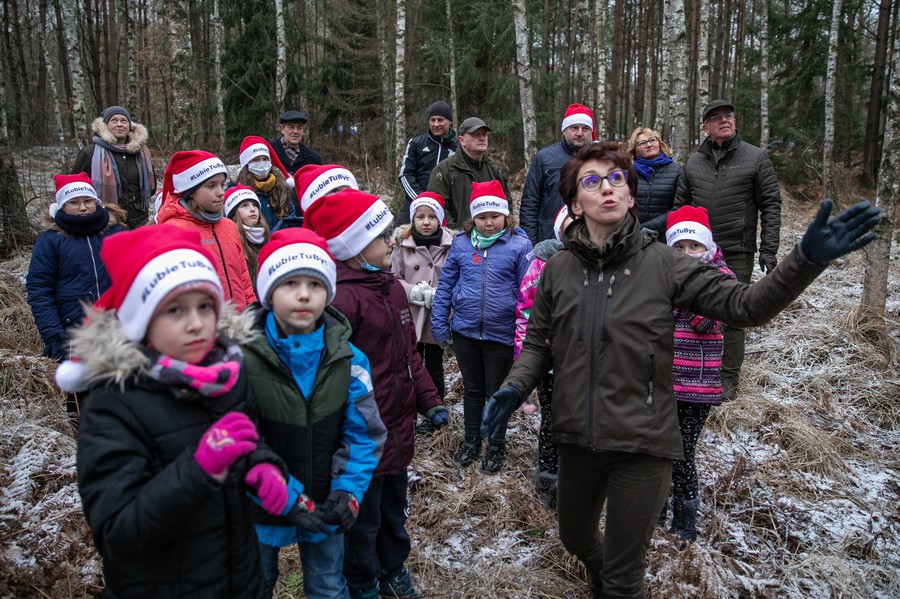 Wybieranie choinki w Raciniewie, fot. Andrzej Goiński UMWKP