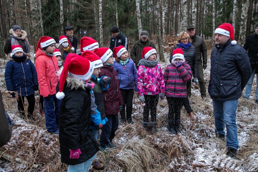 Wybieranie choinki w Raciniewie, fot. Andrzej Goiński UMWKP