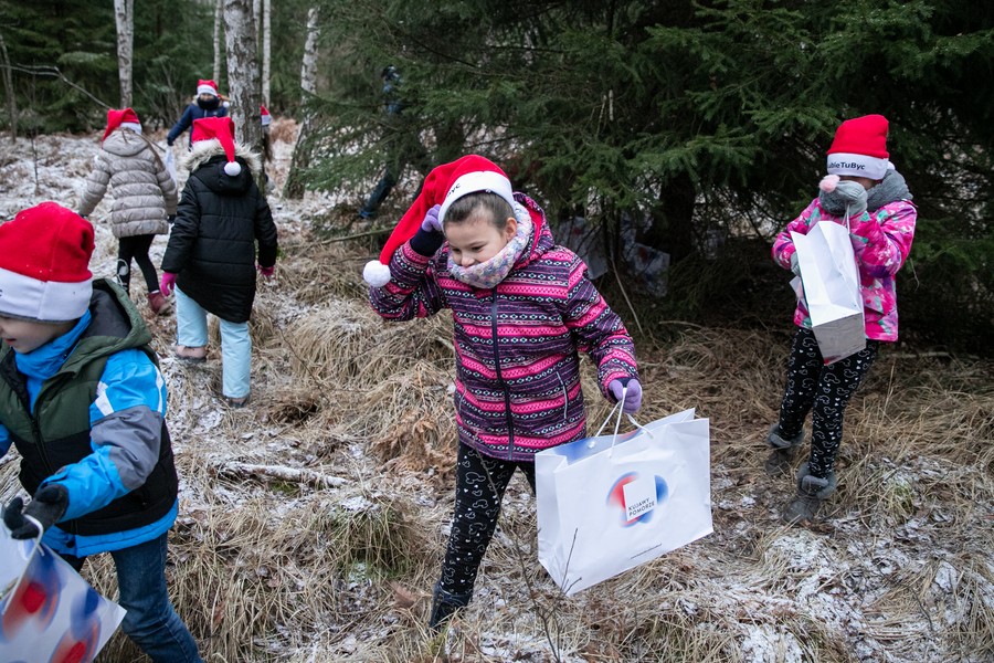 Wybieranie choinki w Raciniewie, fot. Andrzej Goiński UMWKP