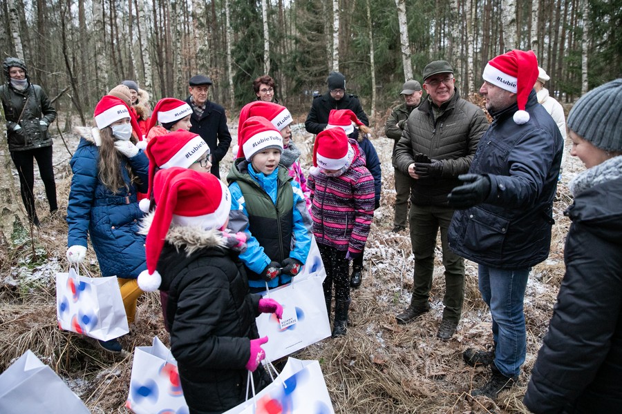 Wybieranie choinki w Raciniewie, fot. Andrzej Goiński UMWKP