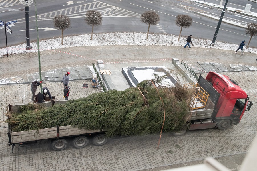 Choinka przed Urzędem Marszałkowskim, fot. Andrzej Goiński UMWKP