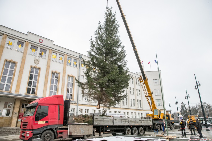 Choinka przed Urzędem Marszałkowskim, fot. Andrzej Goiński UMWKP