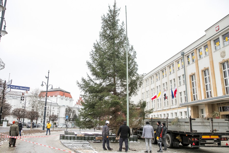 Choinka przed Urzędem Marszałkowskim, fot. Andrzej Goiński UMWKP