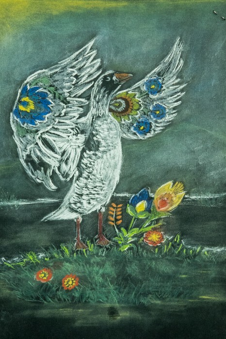 Mikołaj Falkowski 1 miejsce w kategorii 12-18 lat