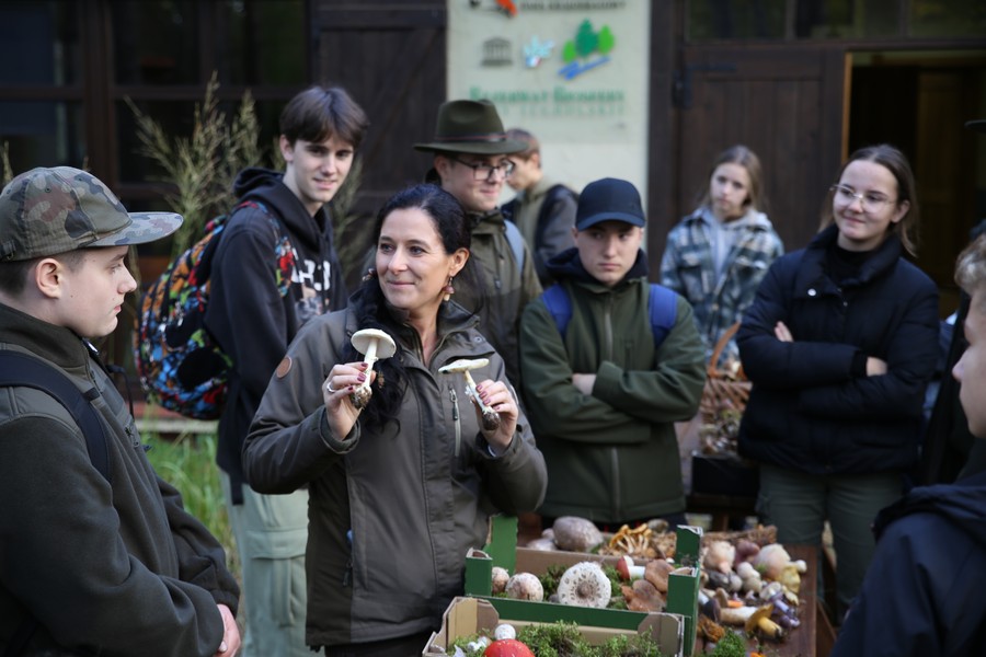 poznajemy gatunki grzybów zebrane na wystawę fot. Rafał Borzyszkowski